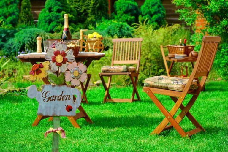 5 MustHaves For The Perfect Summer Backyard
